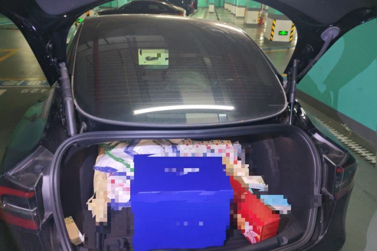 Used Tesla Model 3 2022 Rear-Wheel-Drive Version Trunk