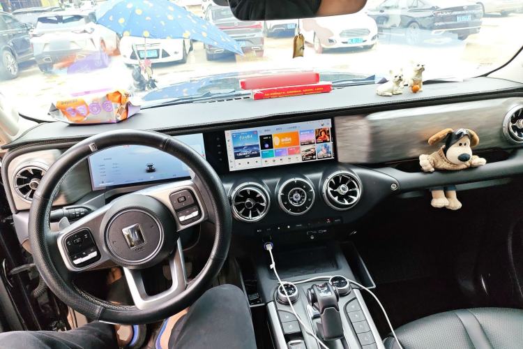 Used Tank 300 2024 2.0T Crosser