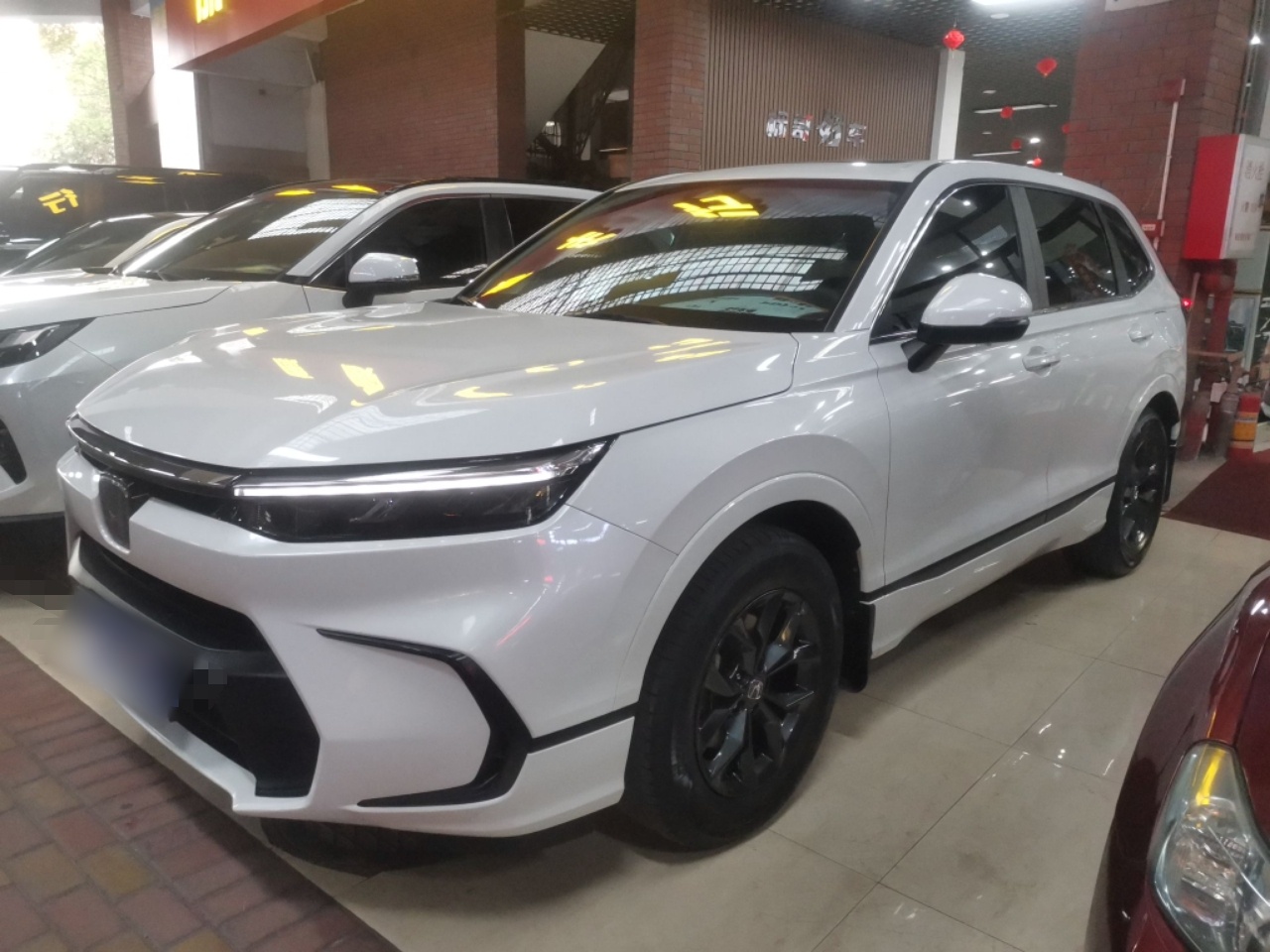 Parte inferior delantera