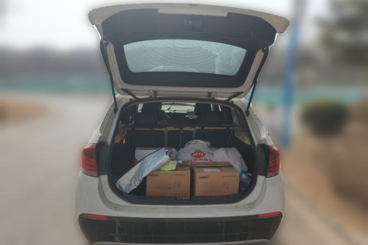 Used BMW X1 2010 sDrive18i Luxury Model