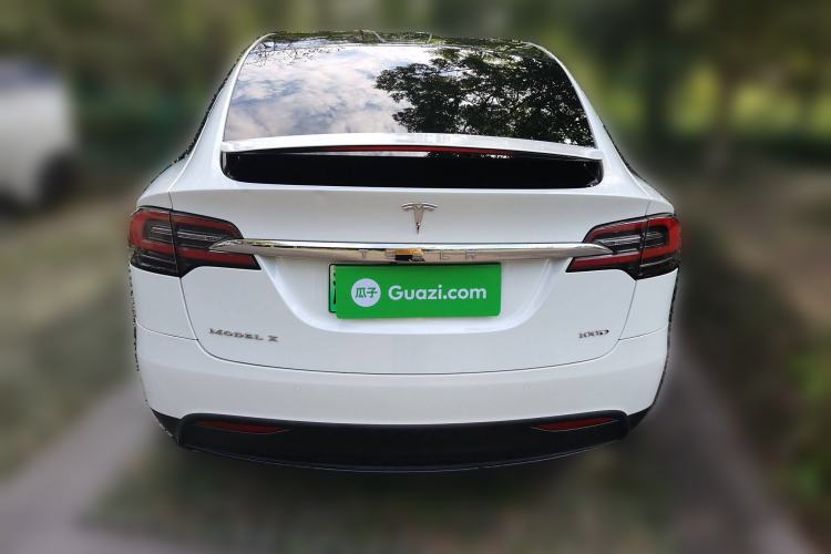 Used Tesla Model X 2017 X 100D Long Range Edition Rear