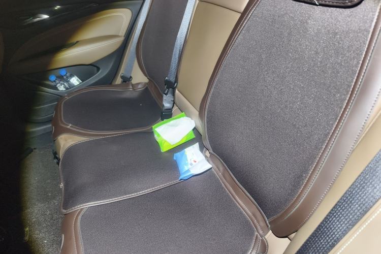 Used Buick Regal 2019 20T Elite Version China VI Standard