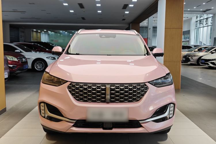 Used Wey VV6 2021 2.0T Two-Wheel Drive Smart Plus Exterior 6