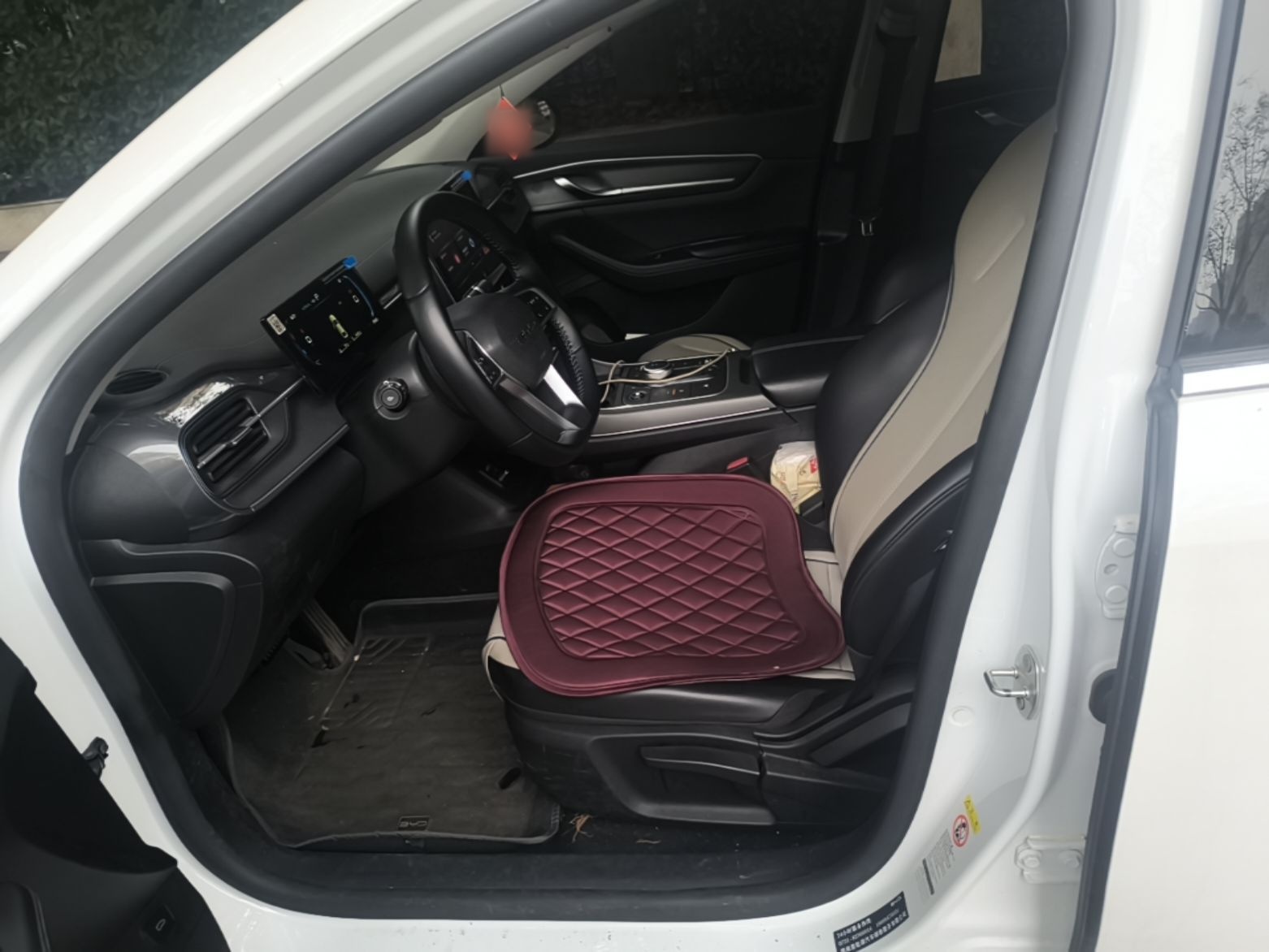 BYD Destroyer 05 2024 HONOR Edition DM-i 55KM Luxury Model — снимка 17