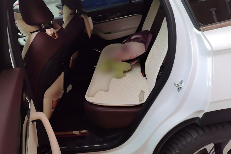 Used Geely Auto Monjaro L 2021 2.0TD DCT EVO Two-Wheel Drive Smart Luxury Version