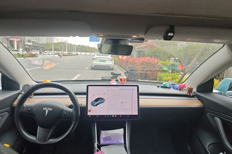 Used Tesla Model 3 2019 Long-Range Rear-Wheel-Drive Version
