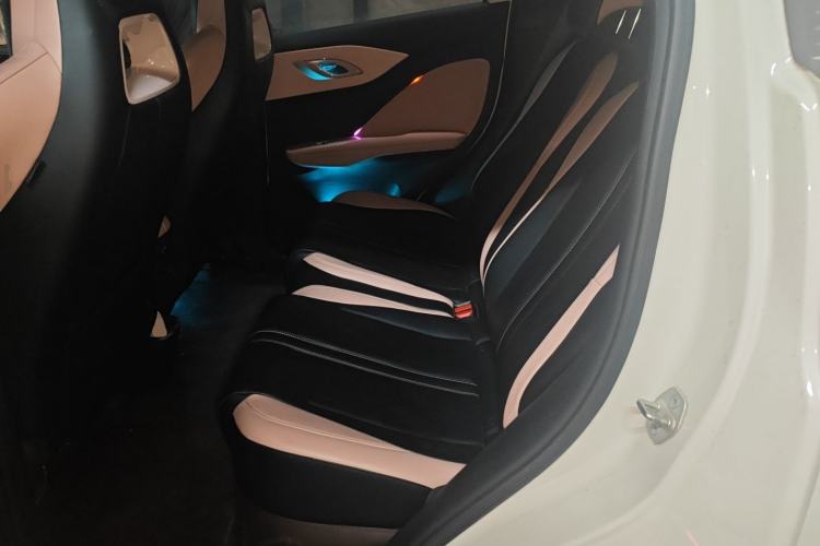 Used BYD Seagull 2023 Flying Edition Left Rear Seat