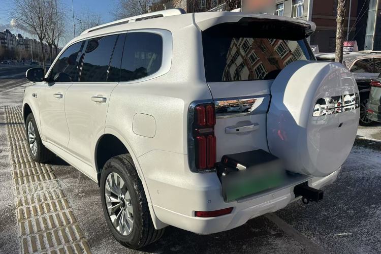 Used Tank 500 New Energy 2026 Model—Hi4-T Smart Enjoyment Version
