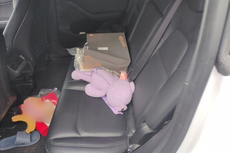 Used Tesla Model Y 2021 Standard Range Rear-Wheel Drive Version