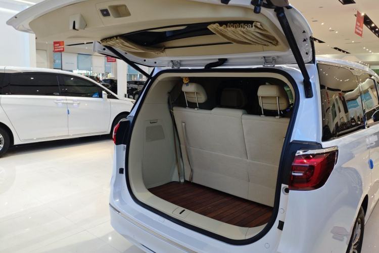 Used Buick GL8 2022 ES Landtrek 653T Luxury Edition
