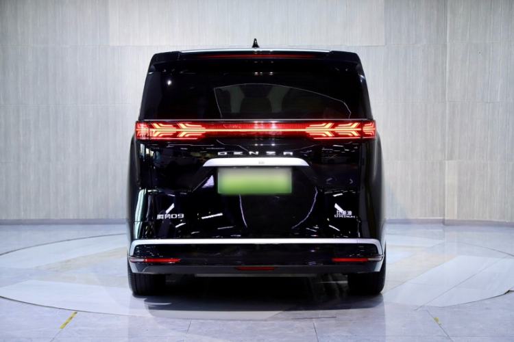 Used Denza D9 2024 DM-i 980 Four-Wheel Drive Prestige Model Exterior 5