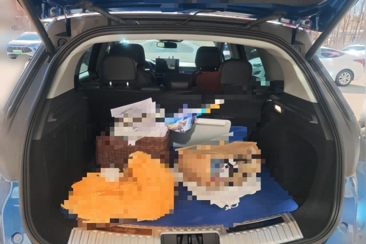 Used Lincoln Corsair 2020 2.0T Two-Wheel Drive Luxury Edition