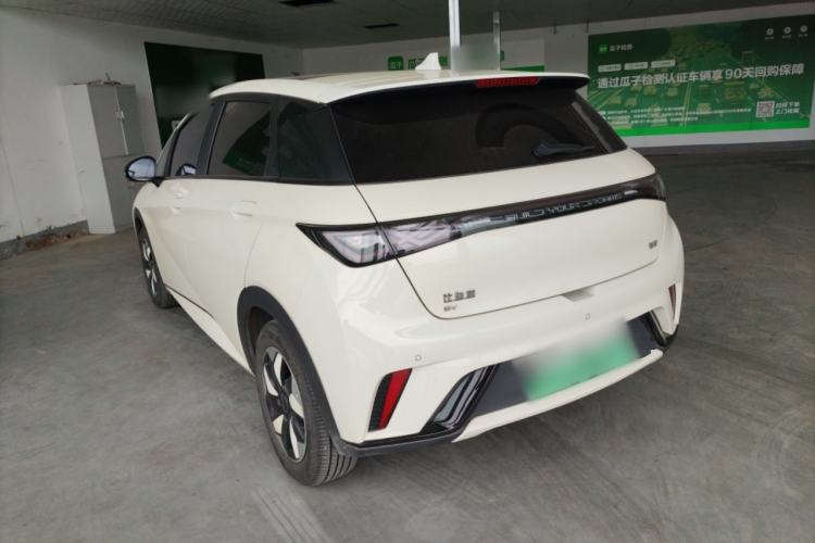 Used BYD Dolphin 2024 Honor Edition 420km Fashion Version Rear Left 45 Deg