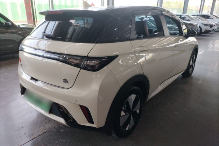 Used BYD Dolphin 2023 420 km Free Version

