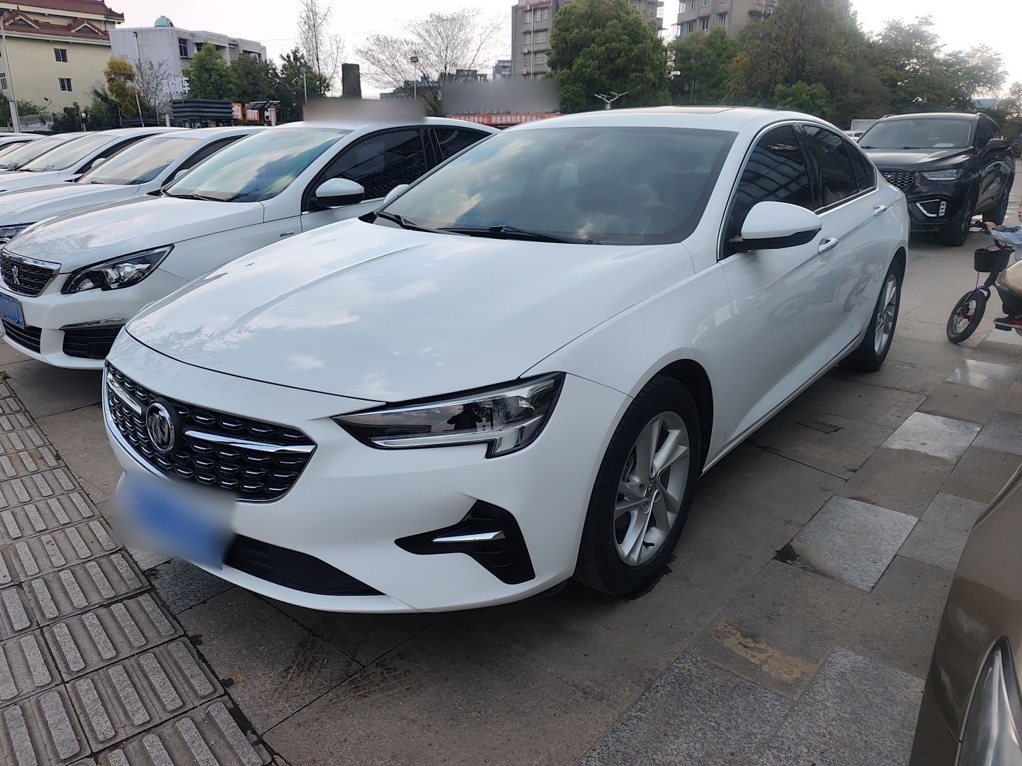 Parte inferior delantera