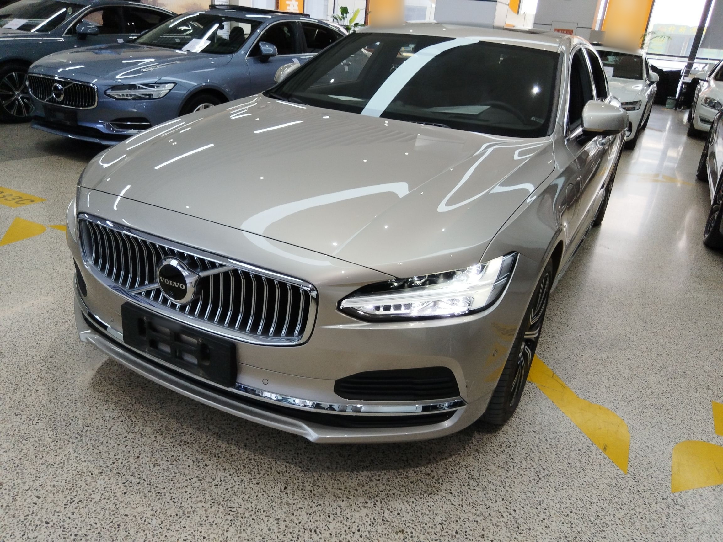 Parte inferior delantera