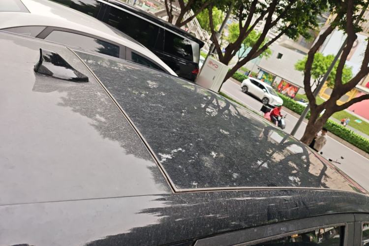 Used BYD Dolphin 2023 420 km Fashion Edition
