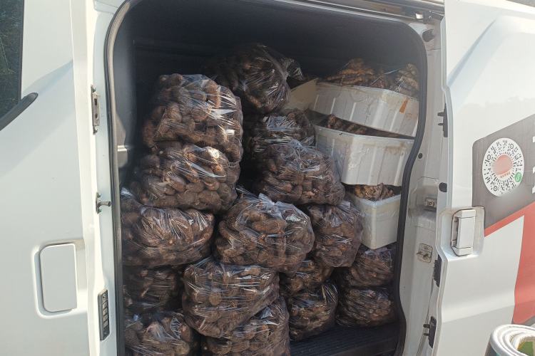 Used Ruichi EC75 2025 Intelligent Driving Ultra-Charging Version Pioneer II Type 50.1 kWh
