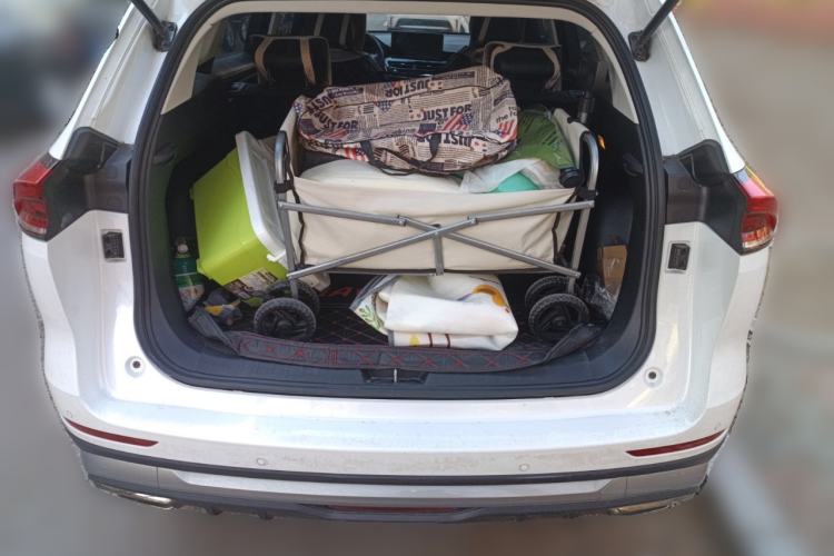 Used Haval H6 2023 National Trend Edition 1.5T Automatic Urban Version
