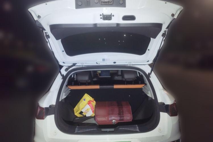 Used BYD e2 2021 Luxury Model