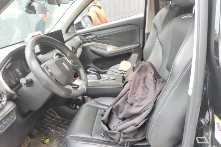 Used Wey VV6 2020 2.0T Two-Wheel Drive Smart Protection+ Left Front Seat