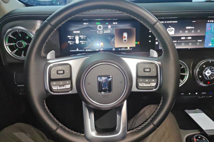 Used Tank 300 2024 2.0T Conqueror
