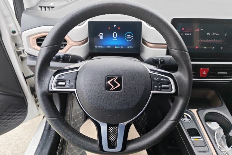 Used SOL E10X 2022 Flower Fairy Design Dandelion