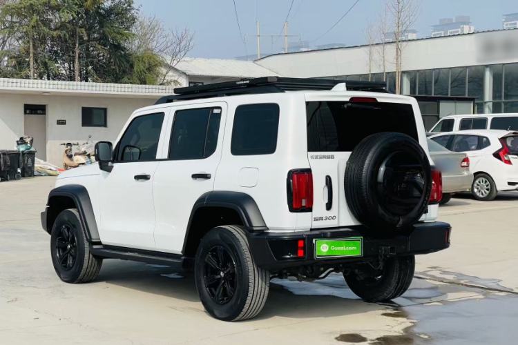 Used Tank 300 2024 2.0T Conqueror