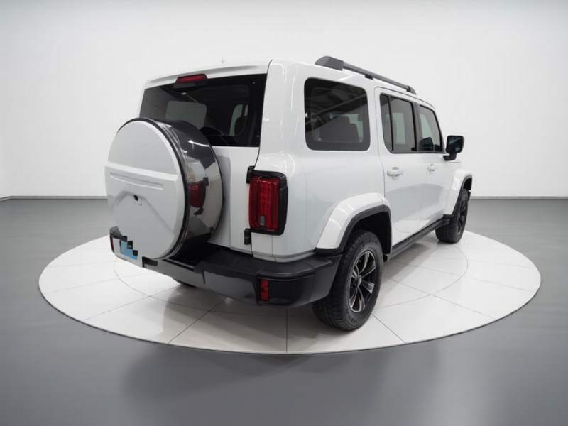 Used Tank 300 2021 City Edition 2.0T Essential Model — 6