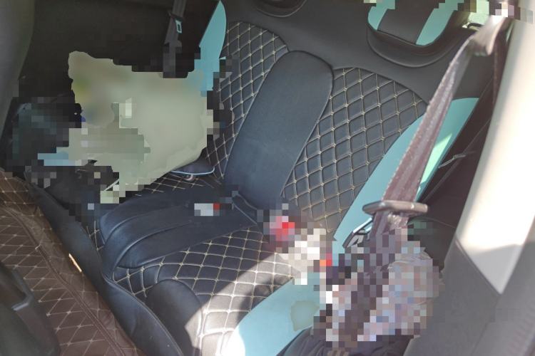 Used Chery QQ Little Ant 2021 200 000-Yuan Ant Fan Edition Talent Version NMC Battery 301 km Left Rear Seat