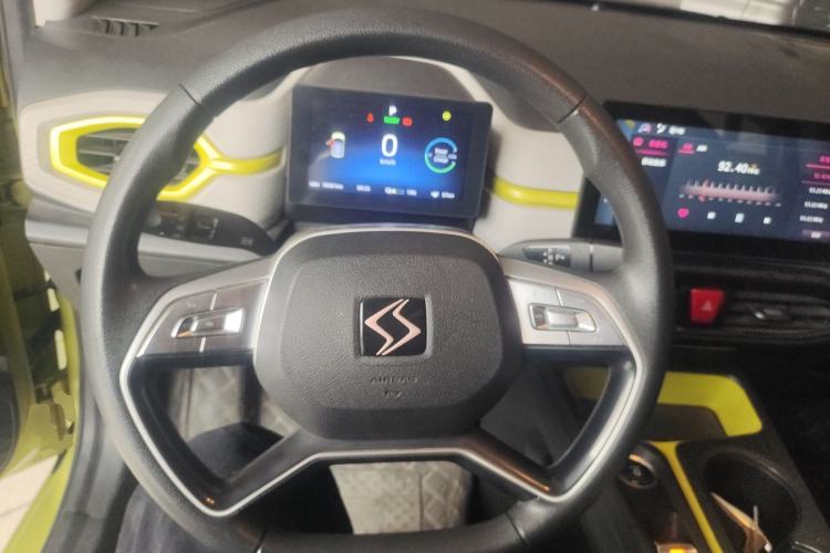 Used SOL E10X 2022 Flower Fairy Design Four-Leaf Clover