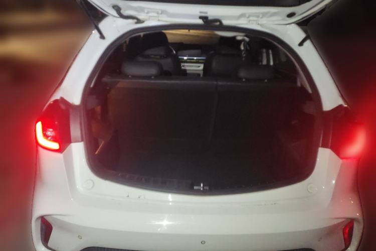 Used Geometry EX3 Kung Fu Cow 2021 Tough Bull Cow