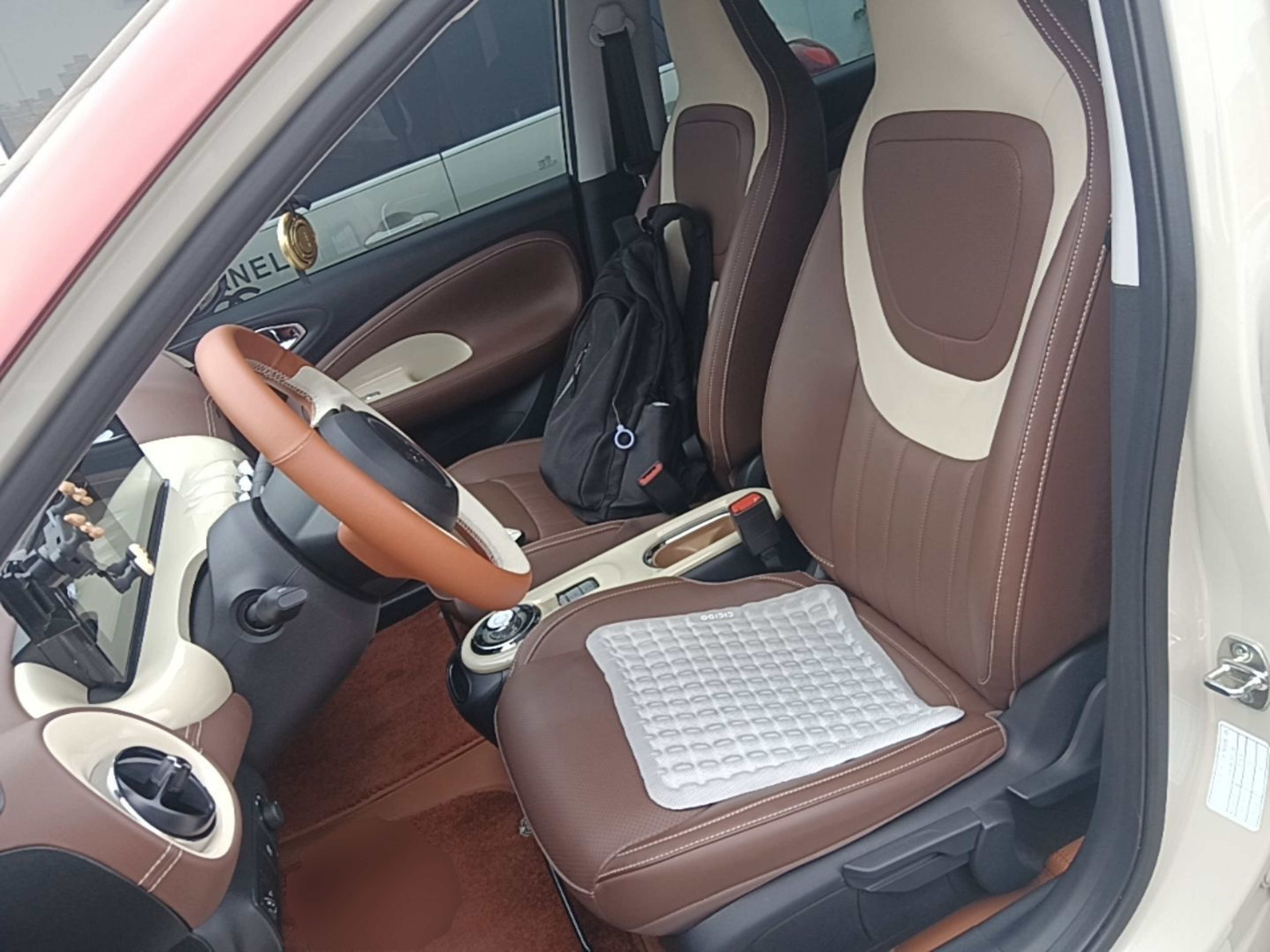 Interior delantero