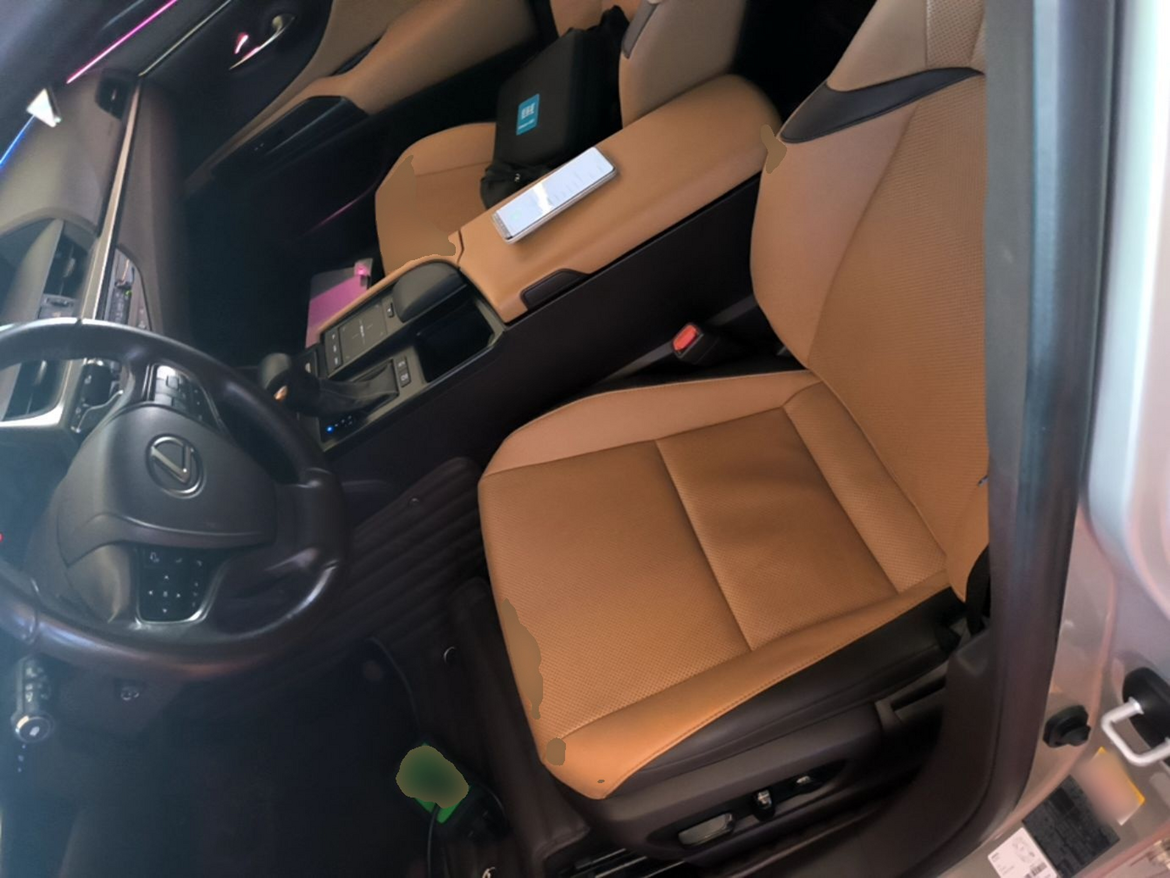Interior delantero