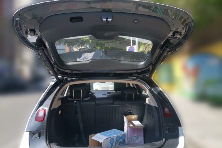 Used firefly firefly 2025 Night Creature Special Edition
