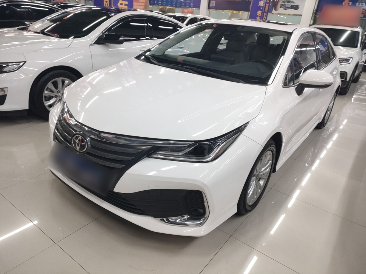 تحت مقدمة السيارة