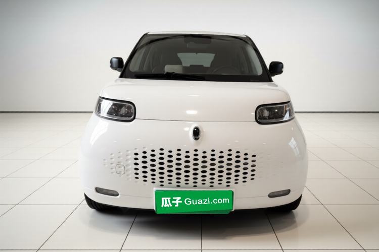 Used ORA White Cat 2020 401 km Flagship Version Exterior 1