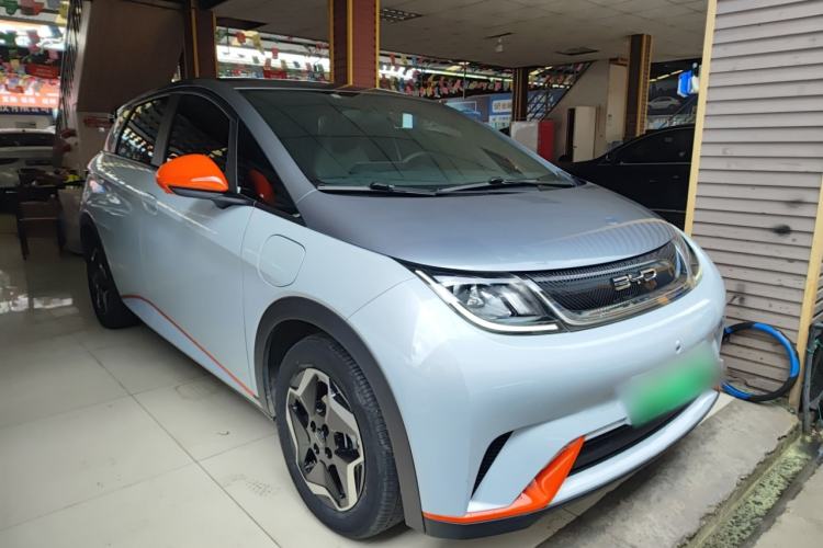 Used BYD Dolphin 2021 405 km Free Version