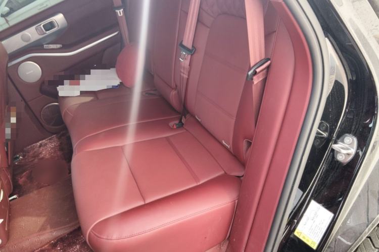 Used Tank 700 New Energy 2024 Hi4-T First-Edition Limited Model
