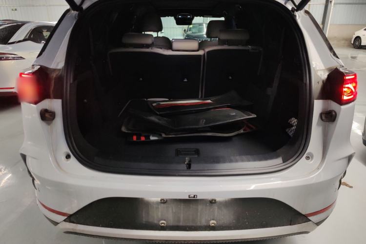 Used BYD Tang New Energy 2025 DM-i 115KM Prestige Model