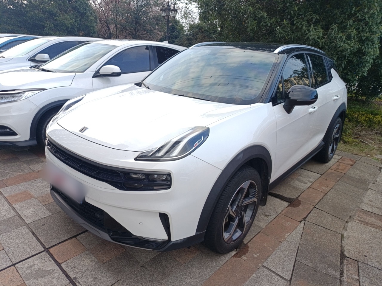 Parte inferior delantera