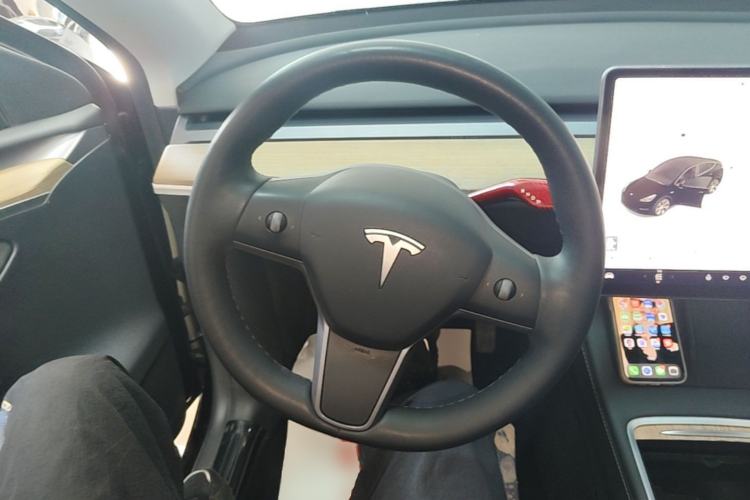 Used Tesla Model Y 2021 Standard Range Rear-Wheel Drive Version