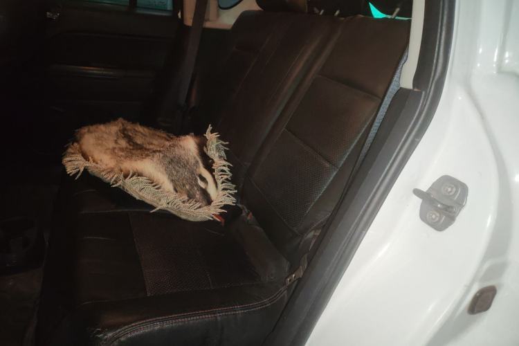 Used Jeep Compass 2014 2.0L two-wheel drive sport version Left Rear Seat