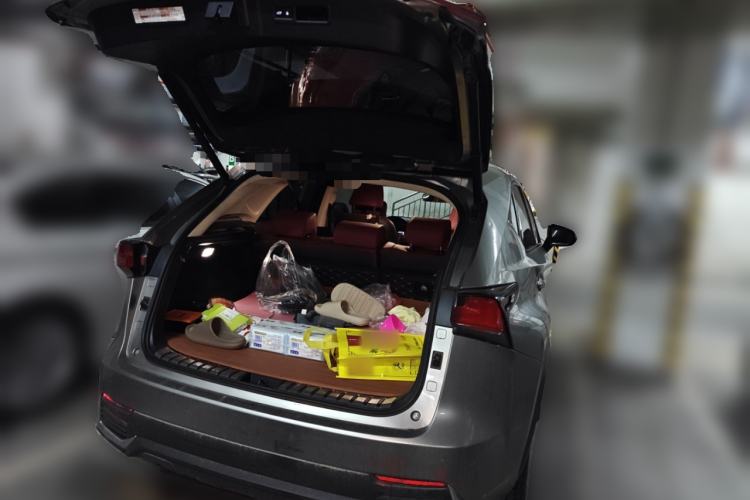 Used Lexus NX 2020 300h Front-Drive FENGSHANG Version China VI Standard