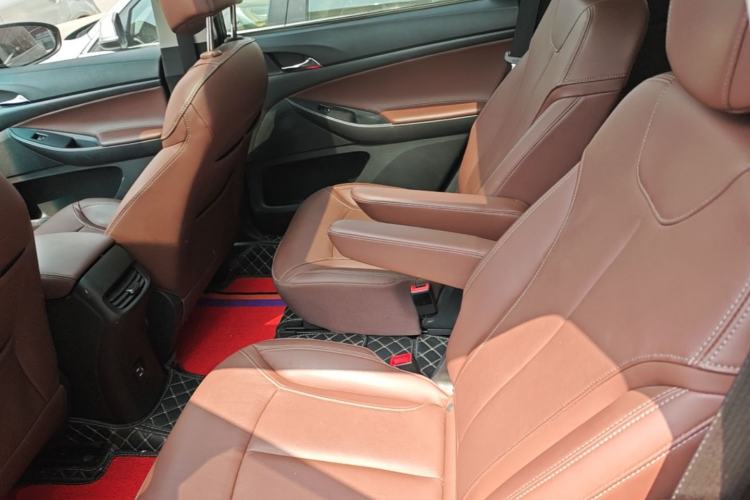 Used Buick GL6 2019 18T 6-Seater Connected Luxury Version China VI Standard Left Rear Seat