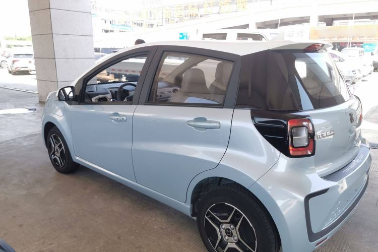 Used SOL E10X 2022 Flower Fairy Design Four-Leaf Clover