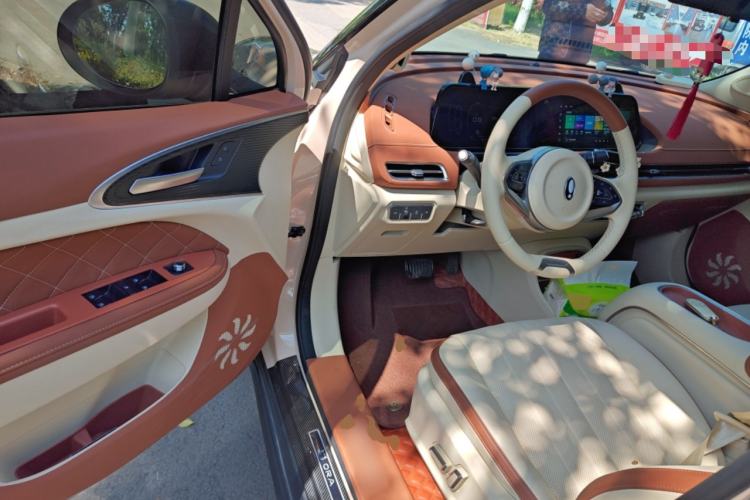 Used ORA Good Cat 2023 401 km Standard Range Premium Trim Ternary Lithium Driver Seat