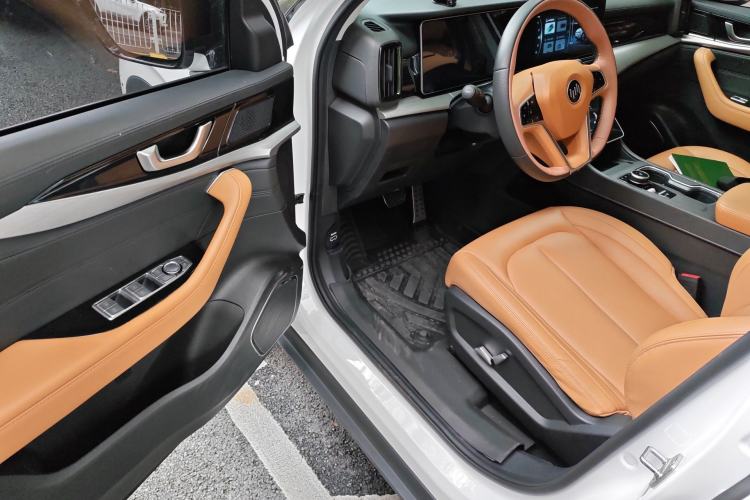 Used WM Motor W6 2021 520km PRO All-Round Edition