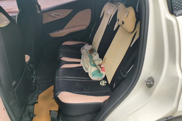 Used BYD Seagull 2023 Flying Edition Left Rear Seat