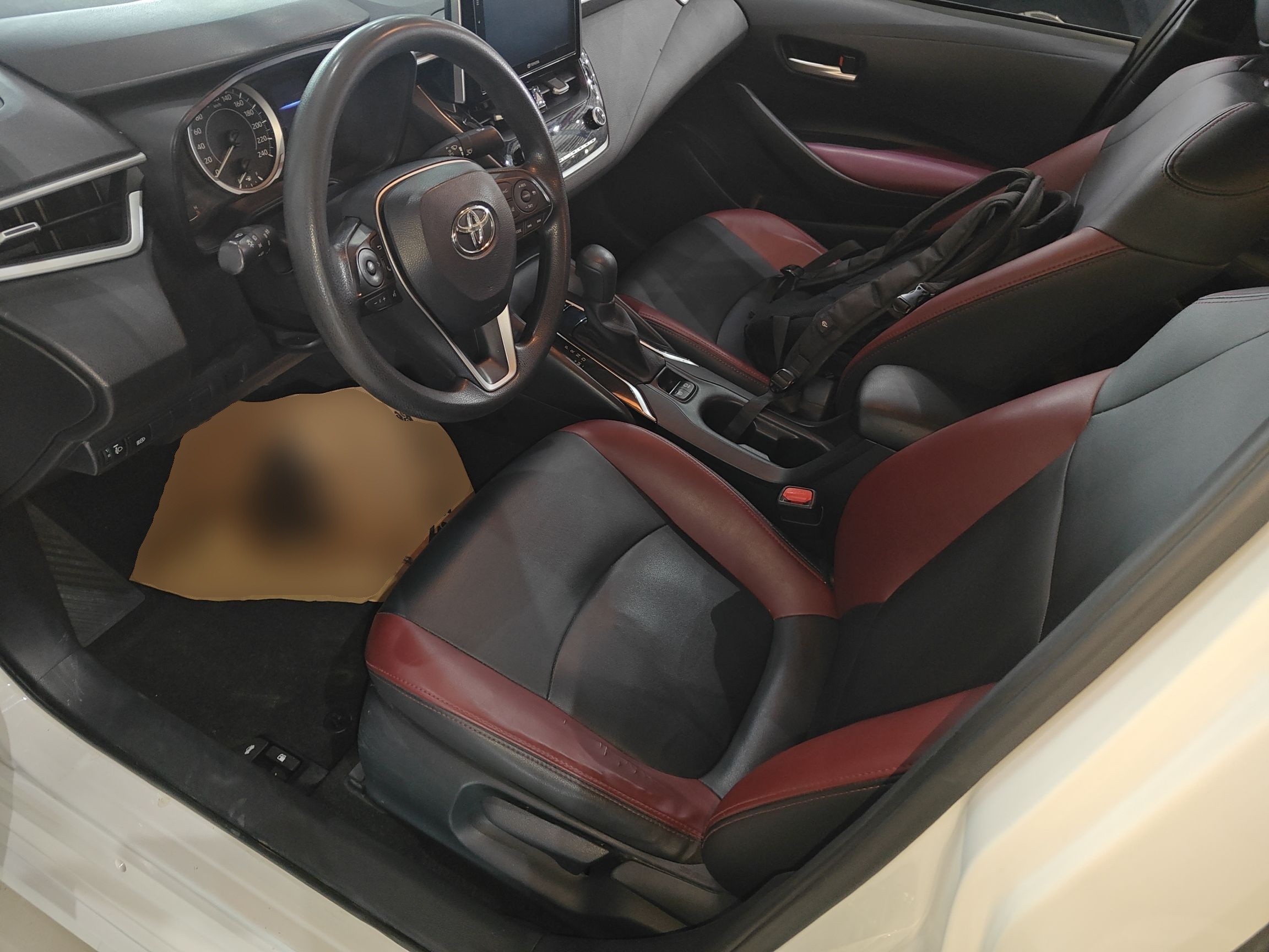 Interior delantero